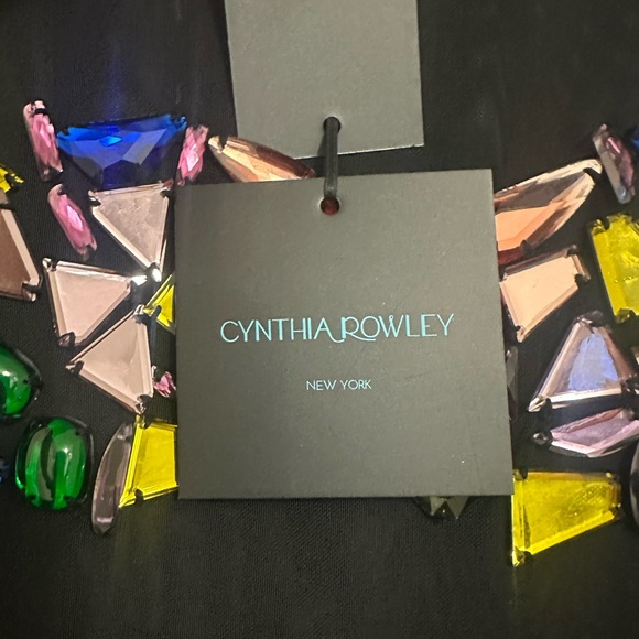 NWT Cynthia Rowley Gems Mesh Organza Empire Dress - Picture 4 of 13